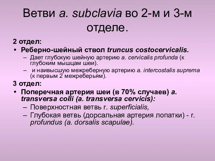 Ветви a. subclavia во 2-м и 3-м отделе. 2 отдел: