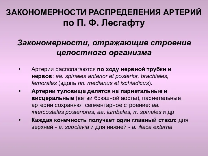 ЗАКОНОМЕРНОСТИ РАСПРЕДЕЛЕНИЯ АРТЕРИЙ по П. Ф. Лесгафту Закономерности, отражающие строение