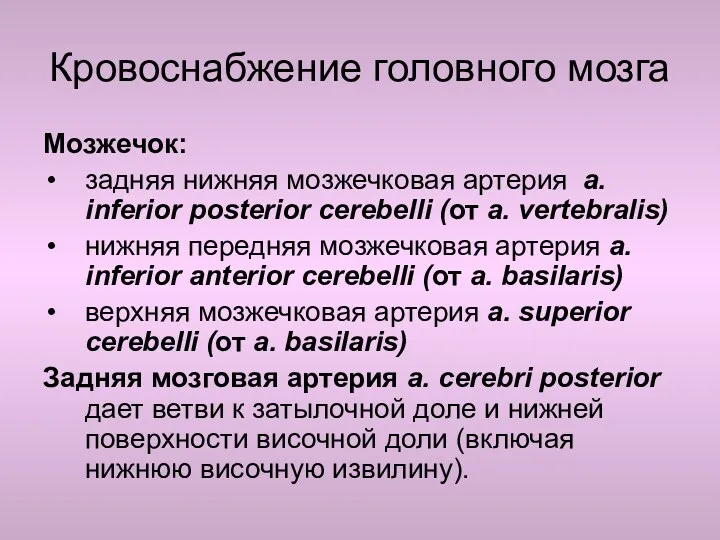 Кровоснабжение головного мозга Мозжечок: задняя нижняя мозжечковая артерия a. inferior