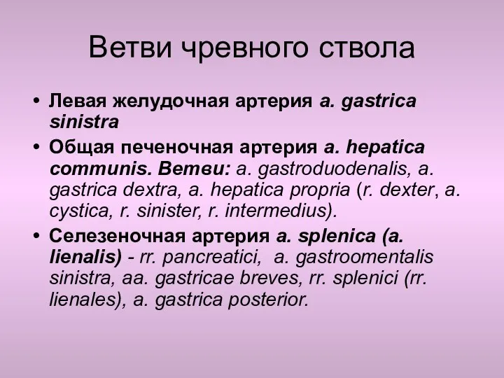 Ветви чревного ствола Левая желудочная артерия a. gastrica sinistra Общая