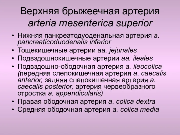 Верхняя брыжеечная артерия arteria mesenterica superior Нижняя панкреатодуоденальная артерия a.