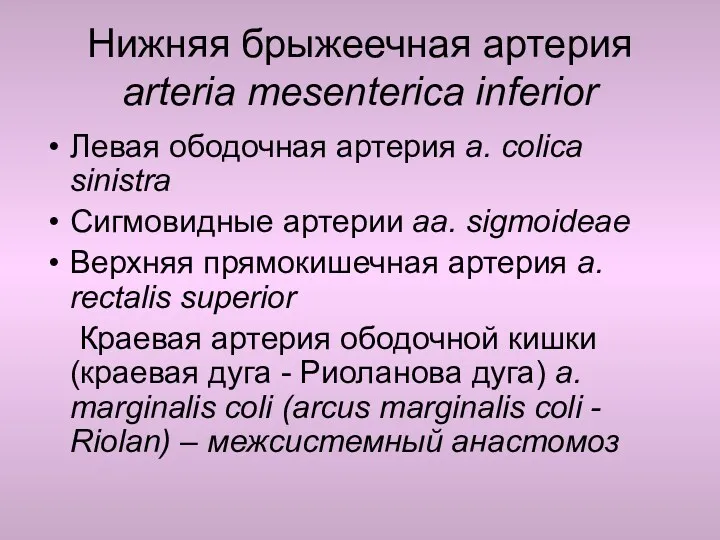 Нижняя брыжеечная артерия arteria mesenterica inferior Левая ободочная артерия a.