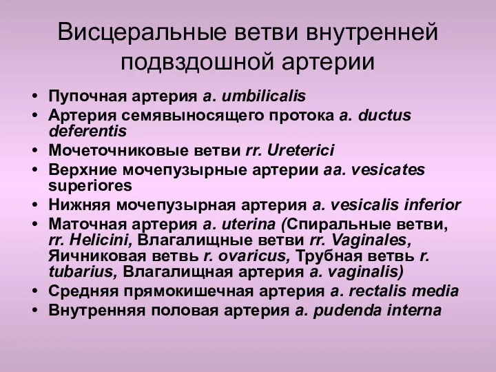 Висцеральные ветви внутренней подвздошной артерии Пупочная артерия a. umbilicalis Артерия