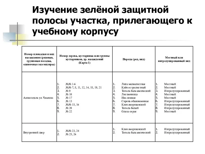 Изучение зелёной защитной полосы участка, прилегающего к учебному корпусу