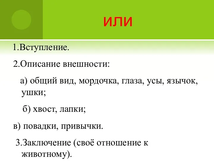 или 1.Вступление. 2.Описание внешности: а) общий вид, мордочка, глаза, усы,