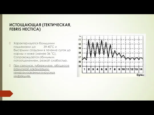 ИСТОЩАЮЩАЯ (ГЕКТИЧЕСКАЯ, FEBRIS HECTICА) Характеризуется большими подъемами до 39-40˚C и