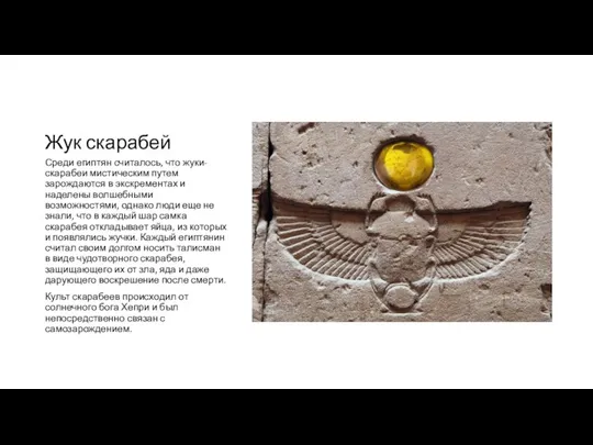 Жук скарабей Среди египтян считалось, что жуки-скарабеи мистическим путем зарождаются в экскрементах и