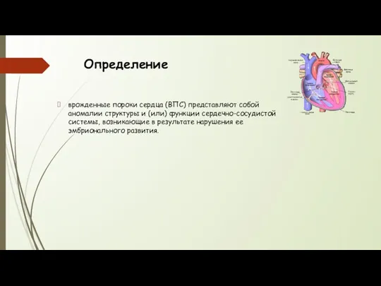 Определение врожденные пороки сердца (ВПС) представляют собой аномалии структуры и