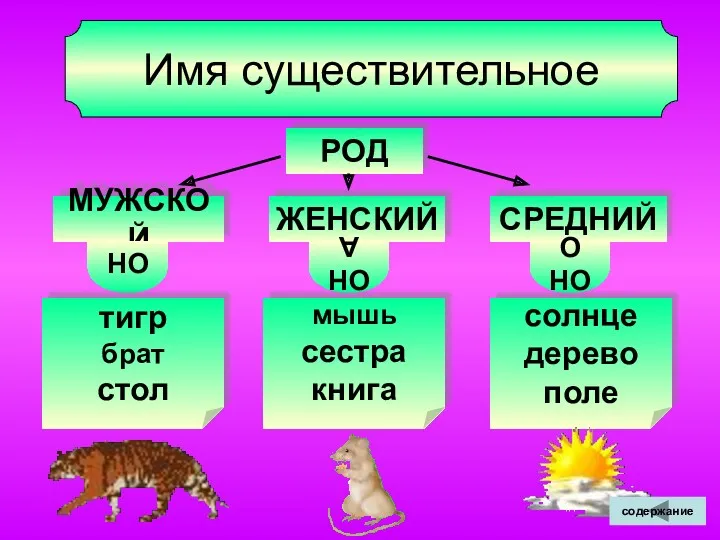 Имя существительное РОД МУЖСКОЙ ЖЕНСКИЙ СРЕДНИЙ ОН ОНА ОНО тигр