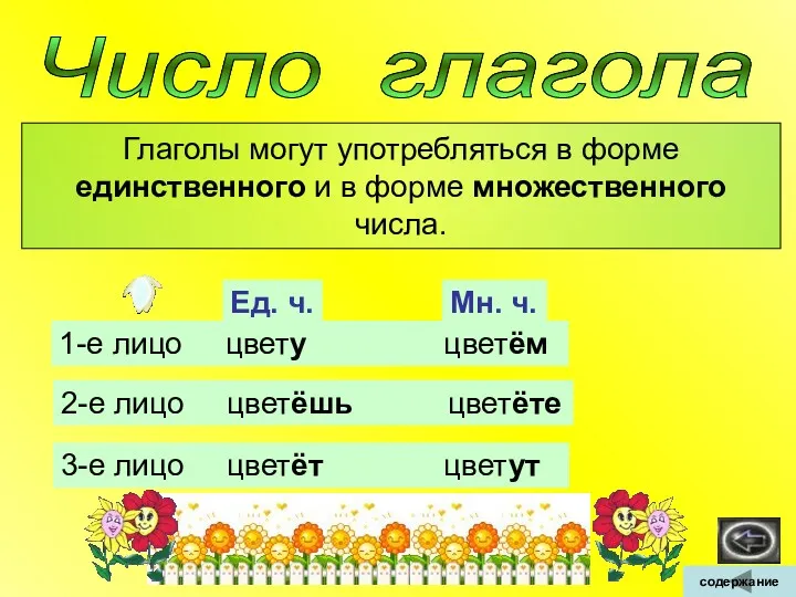 Число глагола Глаголы могут употребляться в форме единственного и в