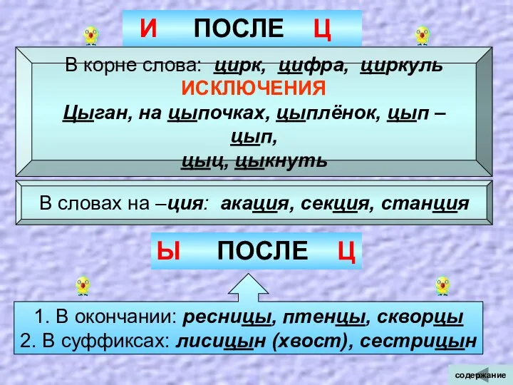 И ПОСЛЕ Ц В корне слова: цирк, цифра, циркуль ИСКЛЮЧЕНИЯ