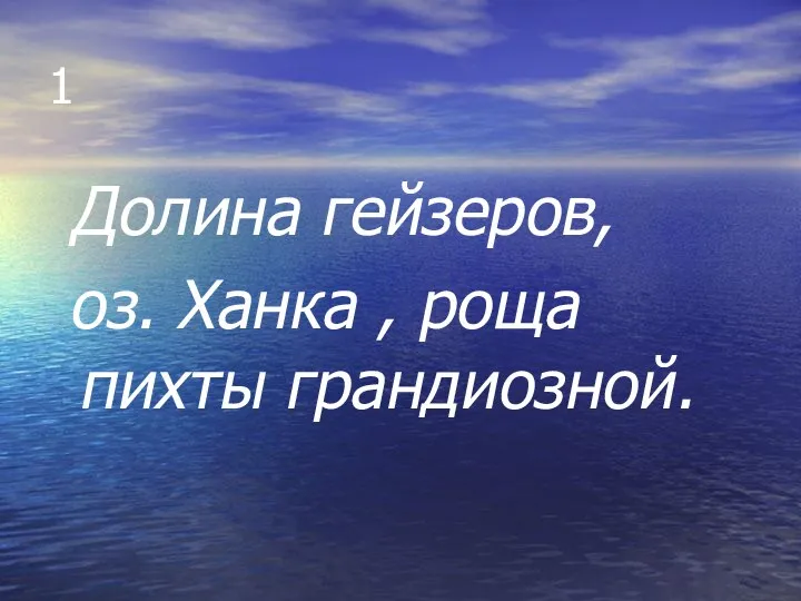 1 Долина гейзеров, оз. Ханка , роща пихты грандиозной.