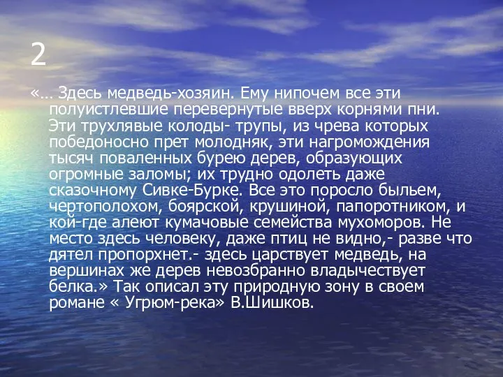 2 «… Здесь медведь-хозяин. Ему нипочем все эти полуистлевшие перевернутые