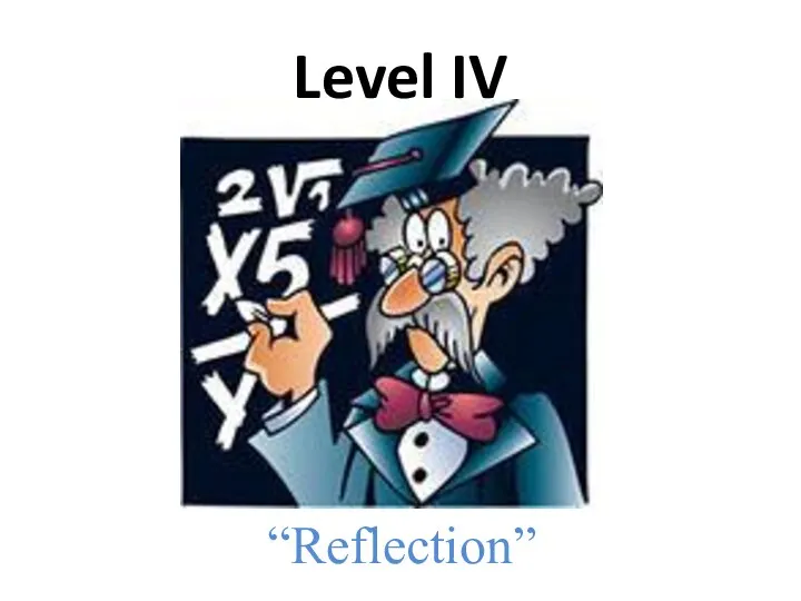 Level IV “Reflection”