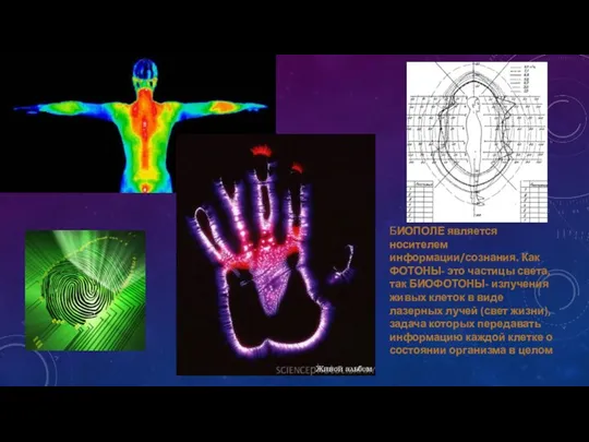 БИОПОЛЕ является носителем информации/сознания. Как ФОТОНЫ- это частицы света, так