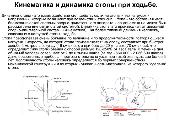 Кинематика и динамика стопы при ходьбе. Динамика стопы - это