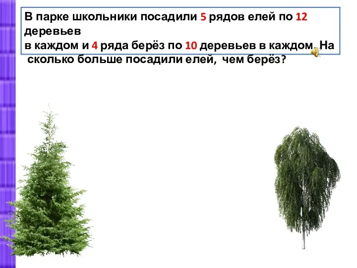 В парке школьники посадили 5 рядов елей по 12 деревьев