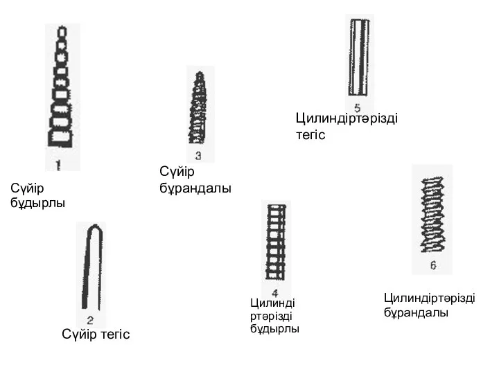 Цилиндіртәрізді бұрандалы Цилиндіртәрізді тегіс Сүйір тегіс Цилиндіртәрізді бұдырлы Сүйір бұрандалы Сүйір бұдырлы