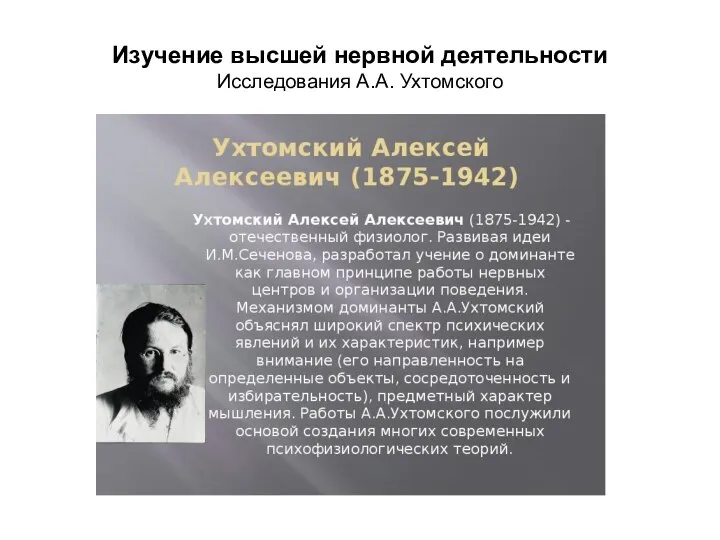 Изучение высшей нервной деятельности Исследования А.А. Ухтомского