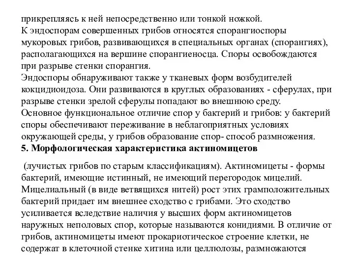 прикрепляясь к ней непосредственно или тонкой ножкой. К эндоспорам совершенных