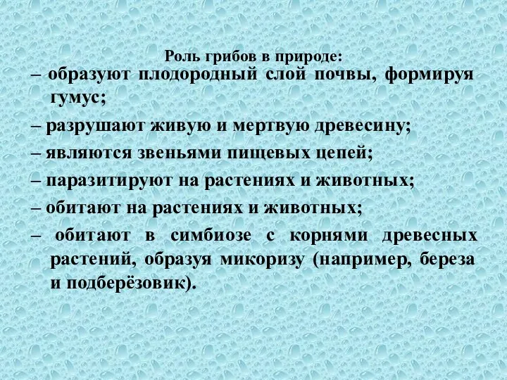 Роль грибов в природе: – образуют плодородный слой почвы, формируя