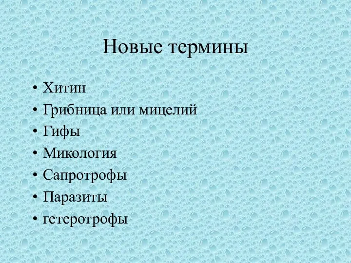 Новые термины Хитин Грибница или мицелий Гифы Микология Сапротрофы Паразиты гетеротрофы