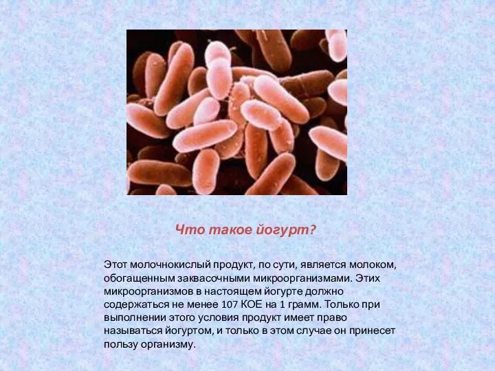 Что такое йогурт? Этот молочнокислый продукт, по сути, является молоком,