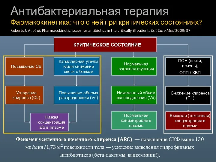 Антибактериальная терапия Фармакокинетика: что с ней при критических состояниях? Roberts