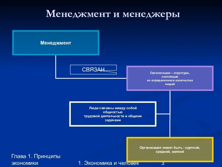 Глава 1. Принципы экономики 1. Экономика и человек Менеджмент и менеджеры СВЯЗАН