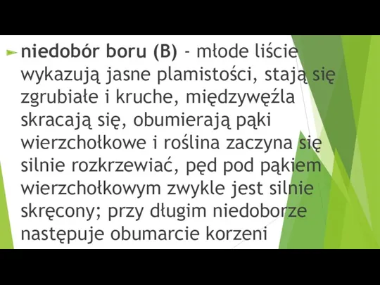 niedobór boru (B) - młode liście wykazują jasne plamistości, stają