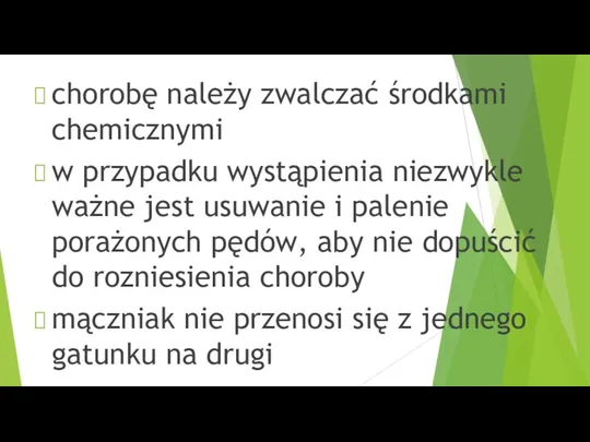 chorobę należy zwalczać środkami chemicznymi w przypadku wystąpienia niezwykle ważne