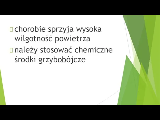 chorobie sprzyja wysoka wilgotność powietrza należy stosować chemiczne środki grzybobójcze