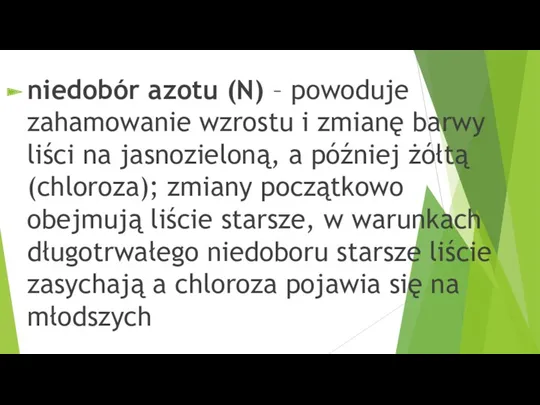 niedobór azotu (N) – powoduje zahamowanie wzrostu i zmianę barwy