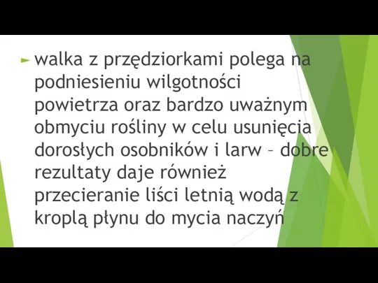 walka z przędziorkami polega na podniesieniu wilgotności powietrza oraz bardzo