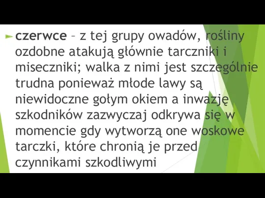 czerwce – z tej grupy owadów, rośliny ozdobne atakują głównie