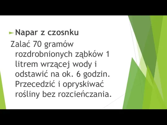 Napar z czosnku Zalać 70 gramów rozdrobnionych ząbków 1 litrem