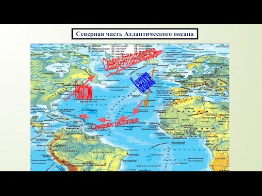 Северная часть Атлантического океана Гольфстрим Северо-Атлантическое Канарское Северное пассатное