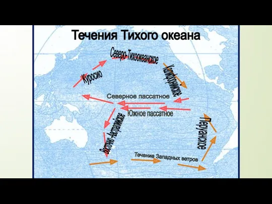 Куросио Калифорнийское Восточно -Австралийское Перуанское Северо-Тихоокеанское Северное пассатное Течение Западных ветров Южное пассатное Течения Тихого океана