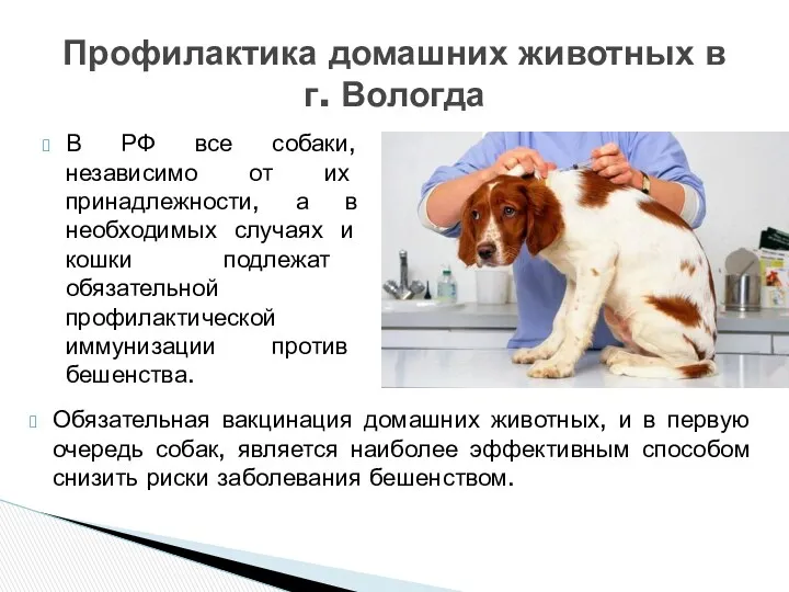 Обязательная вакцинация домашних животных, и в первую очередь собак, является