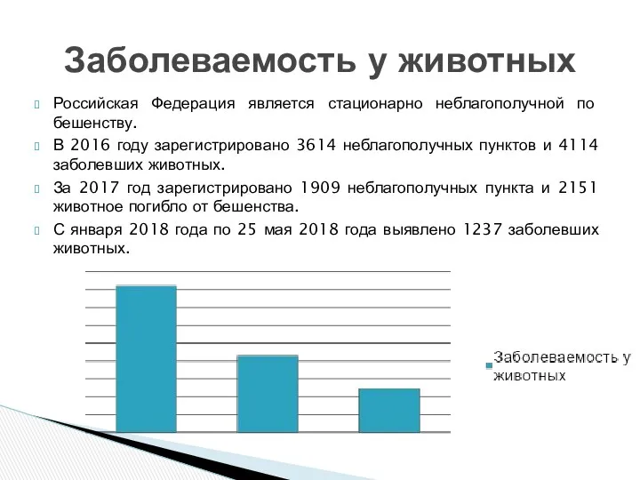 Российская Федерация является стационарно неблагополучной по бешенству. В 2016 году