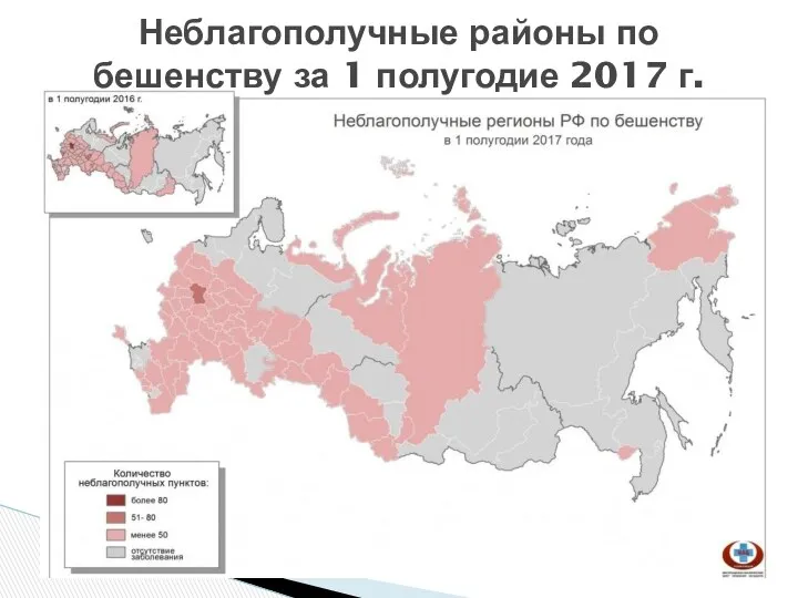 Неблагополучные районы по бешенству за 1 полугодие 2017 г.