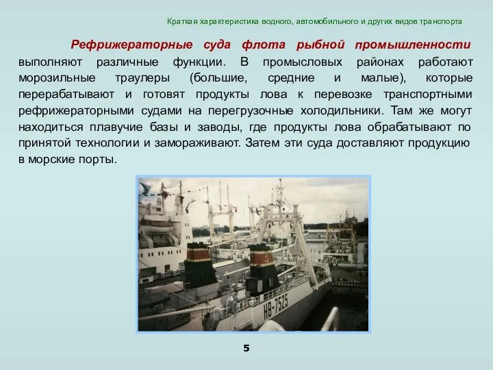 Рефрижераторные суда флота рыбной промышленности выполняют различные функции. В промысловых