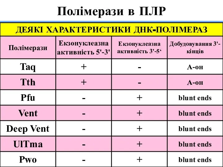 Полімерази в ПЛР