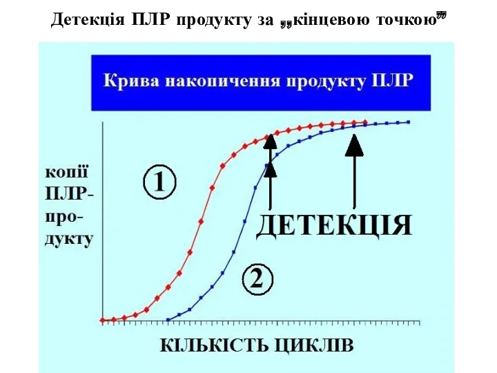 Детекція ПЛР продукту за ,,кінцевою точкою”