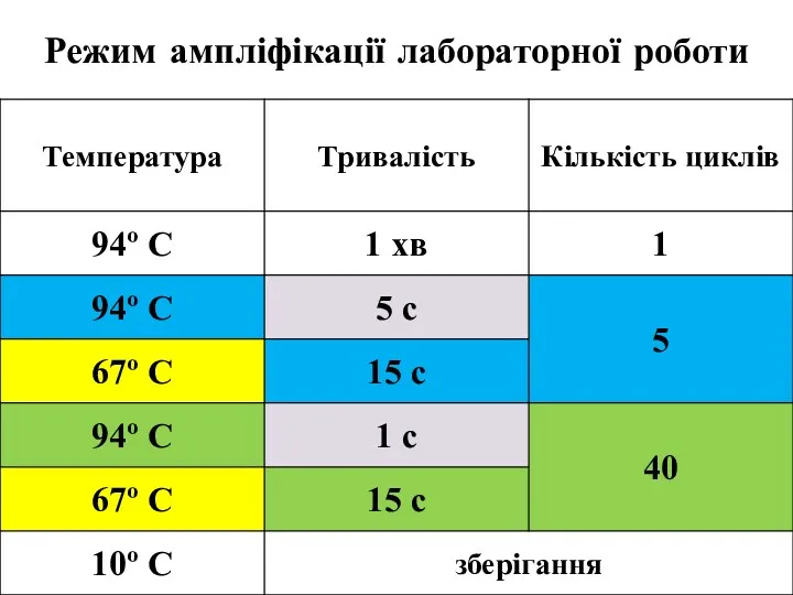 Режим ампліфікації лабораторної роботи