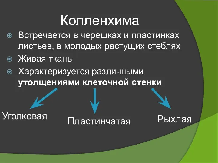 Колленхима Встречается в черешках и пластинках листьев, в молодых растущих