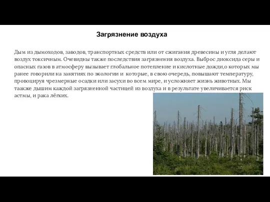 Загрязнение воздуха Дым из дымоходов, заводов, транспортных средств или от