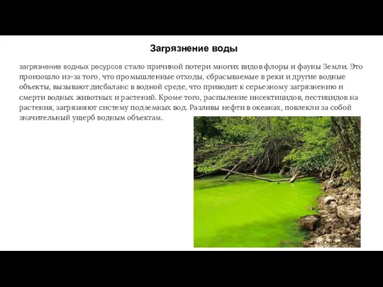 Загрязнение воды загрязнение водных ресурсов стало причиной потери многих видов