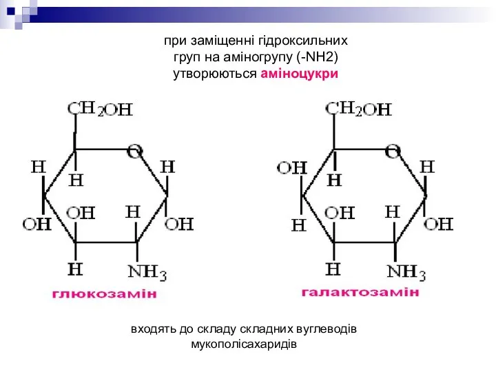 при заміщенні гідроксильних груп на аміногрупу (-NH2) утворюються аміноцукри входять до складу складних вуглеводів мукополісахаридів