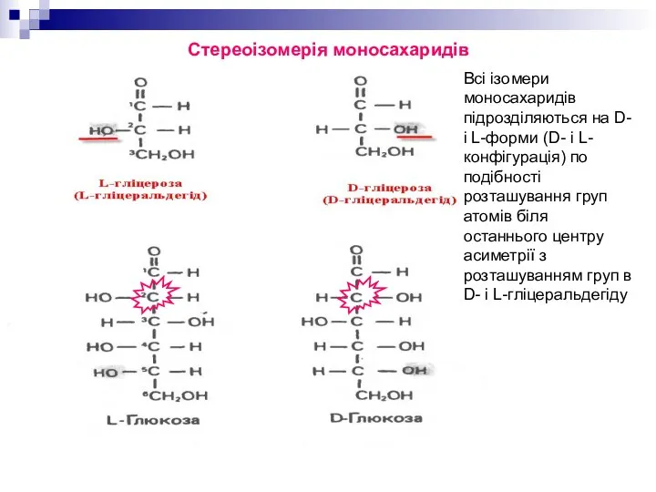 Стереоізомерія моносахаридів Всі ізомери моносахаридів підрозділяються на D- і L-форми